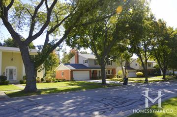 Reseda subdivision in Palatine, IL