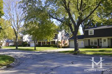 Reseda subdivision in Palatine, IL