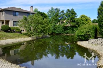 Timberlake Estates subdivision in Palatine, IL