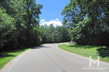 Tangley Oaks subdivision in Lake Bluff, IL