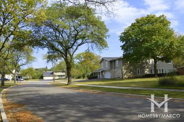 Briarwood Vista subdivision in Deerfield, IL