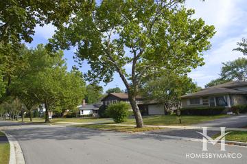 Briarwood Vista subdivision in Deerfield, IL
