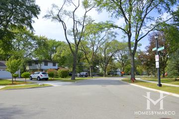 Briarwood Vista subdivision in Deerfield, IL