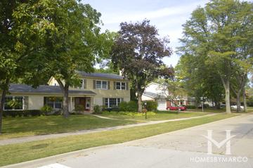 Colony Point subdivision in Deerfield, IL