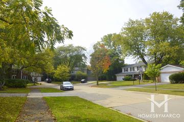 Colony Point subdivision in Deerfield, IL