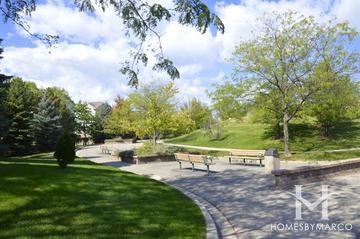 Coromandel subdivision in Deerfield, IL