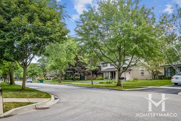 North Trail subdivision in Deerfield, IL