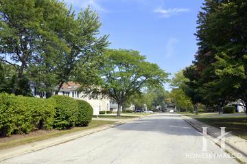 Scatterwoods subdivision in Deerfield, IL
