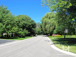 Lincolnshire Woods subdivision in Lincolnshire, IL