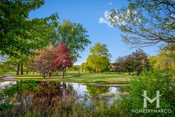 Rivershire subdivision in Lincolnshire, IL