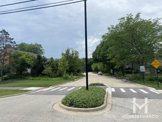 Photos of Whytegate subdivision in Lincolnshire, IL