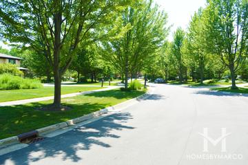 Hidden Ridge subdivision in Highland Park, IL