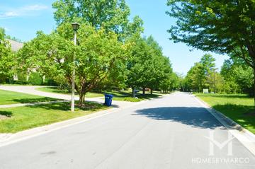 Hidden Ridge subdivision in Highland Park, IL