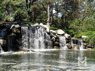 Ancient Tree subdivision in Northbrook, IL