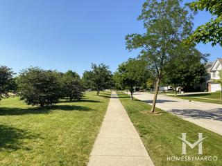 Citation Lake subdivision in Northbrook, IL