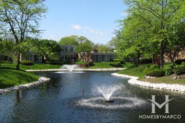 Courts of Northbrook subdivision in Northbrook, IL