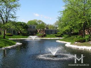 Courts of Northbrook subdivision in Northbrook, IL