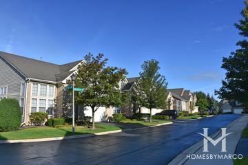 Ivy Club subdivision in Northbrook, IL