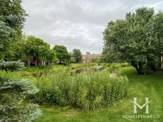 Northbrook Greens subdivision in Northbrook, IL
