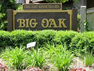 Big Oak subdivision in Glenview, IL