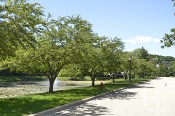 Camelot subdivision in Libertyville, IL