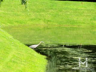 Creekside subdivision in Green Oaks, IL