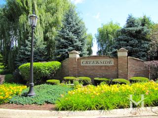 Creekside subdivision in Green Oaks, IL