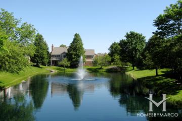 Arlington on the Ponds subdivision in Arlington Heights, IL