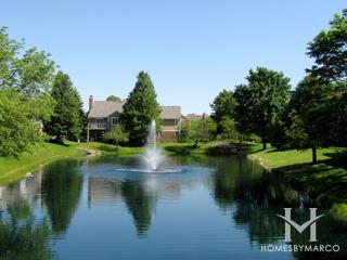 Photos of Arlington on the Ponds subdivision in Arlington Heights, IL