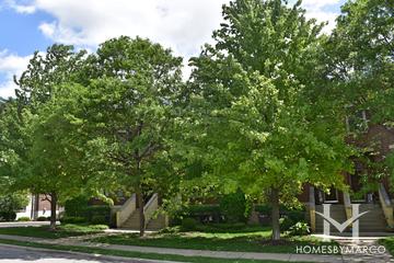 Brownstones on Evergreen subdivision in Arlington Heights, IL