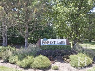 Photos of Forest Lake subdivision in Green Oaks, IL