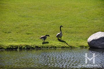 Astor Place building in Wheeling, IL