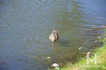 Astor Place building in Wheeling, IL
