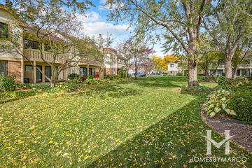 Lexington Commons subdivision in Wheeling, IL