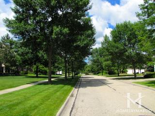 Lake Somerset subdivision in Green Oaks, IL