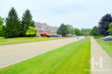 Windsor Woods subdivision in Libertyville, IL