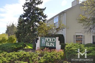 Polo Run