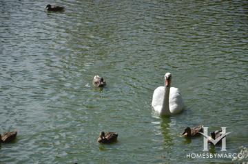 River Mill Crossings subdivision in Wheeling, IL