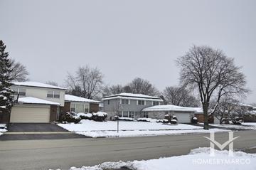 Photos of Chatelaine subdivision in Arlington Heights, IL