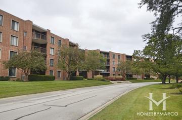 Dana Point building in Arlington Heights, IL