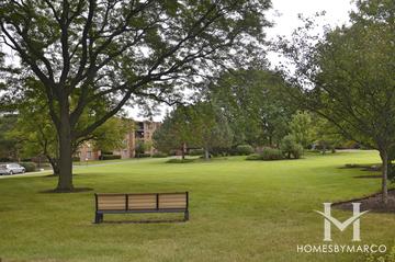 Dana Point building in Arlington Heights, IL