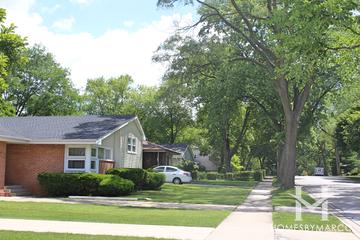 Hickory Meadows subdivision in Arlington Heights, IL
