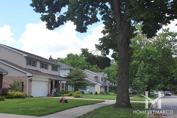 Hickory Meadows subdivision in Arlington Heights, IL