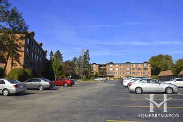 Mallard Cove building in Arlington Heights, IL