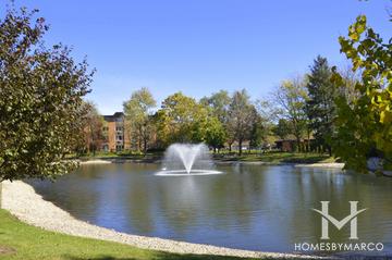 Mallard Cove building in Arlington Heights, IL