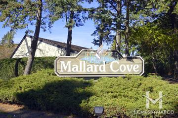 Mallard Cove