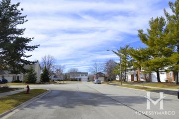 Newport Village subdivision in Arlington Heights, IL