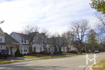 Newport Village subdivision in Arlington Heights, IL