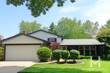 Northgate subdivision in Arlington Heights, IL