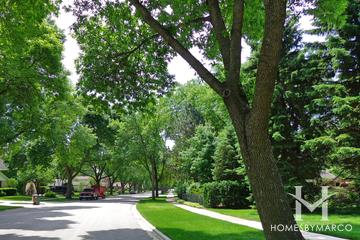 Northgate subdivision in Arlington Heights, IL